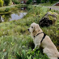 Örkelljunga Golf Club - Orkelljunga