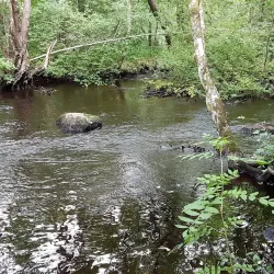 Örkelljunga Nature Reserve - Orkelljunga