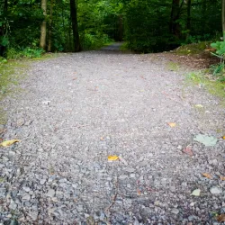 Örkelljunga Nature Reserve - Orkelljunga