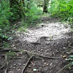 Örkelljunga Nature Reserve - Orkelljunga