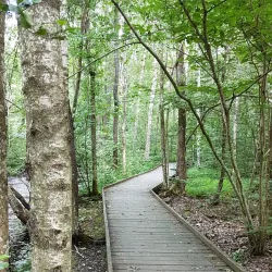 Örkelljunga Nature Reserve - Orkelljunga