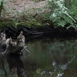 Örkelljunga Nature Reserve - Orkelljunga
