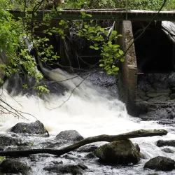Örkelljunga Nature Reserve - Orkelljunga