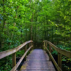 Örkelljunga Nature Reserve - Orkelljunga