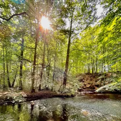 Örkelljunga Nature Reserve - Orkelljunga