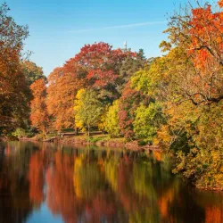 Rönne River Trail - Orkelljunga
