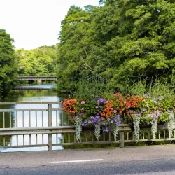 Rönne River Trail - Orkelljunga