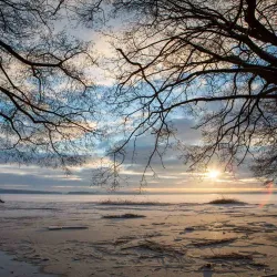 Rönne River Trail - Orkelljunga