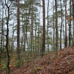 Skåneleden Trail Section near Örkelljunga - Orkelljunga