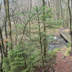 Skåneleden Trail Section near Örkelljunga - Orkelljunga