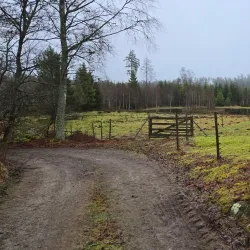 Skåneleden Trail Section near Örkelljunga - Orkelljunga
