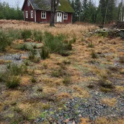 Skåneleden Trail Section near Örkelljunga - Orkelljunga