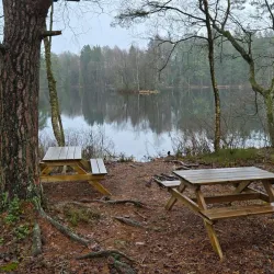 Skåneleden Trail Section near Örkelljunga - Orkelljunga
