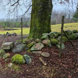 Skåneleden Trail Section near Örkelljunga - Orkelljunga