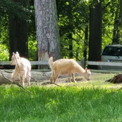 Hembygdsparken (Local Heritage Park) - Osby