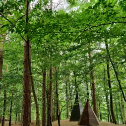 Hembygdsparken (Local Heritage Park) - Osby