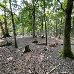 Hembygdsparken (Local Heritage Park) - Osby