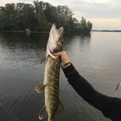 Ivösjön Lake - Osby