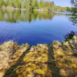 Osby Nature Reserve - Osby