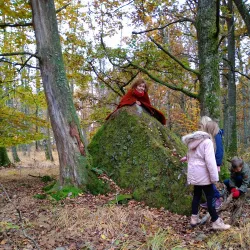 Osby Nature Reserve - Osby