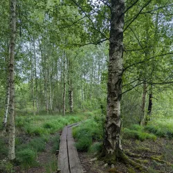 Osby Nature Reserve - Osby