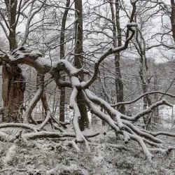 Osby Nature Reserve - Osby