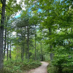 Osby Nature Reserve - Osby