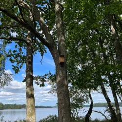 Osby Nature Reserve - Osby