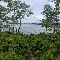 Osby Nature Reserve - Osby