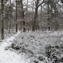 Osby Nature Reserve - Osby