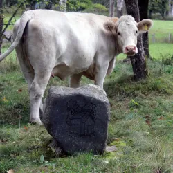 Skåneleden Trail near Osby - Osby