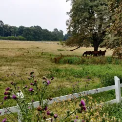 Trolle Ljungby Castle - Osby