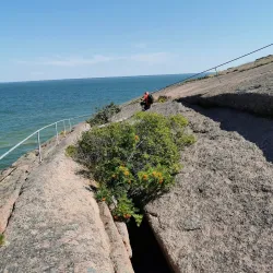 Blå Jungfrun National Park - Oskarshamn