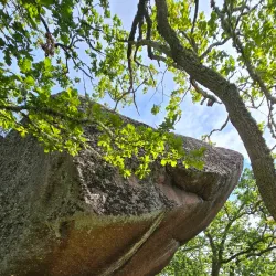 Blå Jungfrun National Park - Oskarshamn