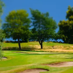 Lilla Vik Nature Reserve - Oskarshamn