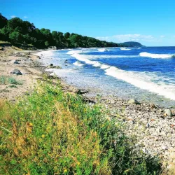 Lilla Vik Nature Reserve - Oskarshamn