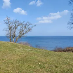 Lilla Vik Nature Reserve - Oskarshamn