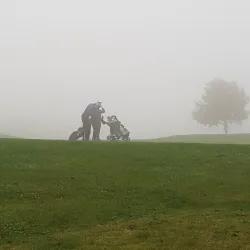 Lilla Vik Nature Reserve - Oskarshamn