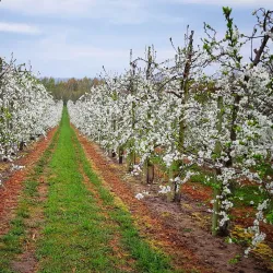Lilla Vik Nature Reserve - Oskarshamn