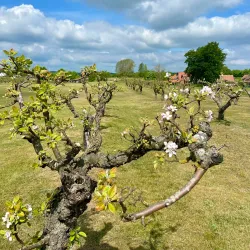 Lilla Vik Nature Reserve - Oskarshamn