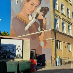 Oskarshamn Old Town - Oskarshamn