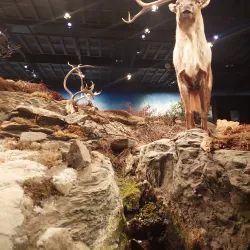 Jamtli Museum - Ostersund (Östersund)