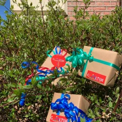 Sami Cultural Center - Ostersund (Östersund)