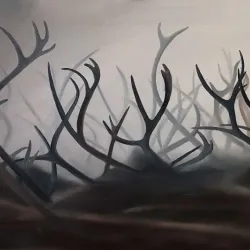 Östersund Art Gallery - Ostersund (Östersund)