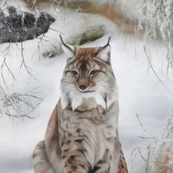 Östersund Art Gallery - Ostersund (Östersund)