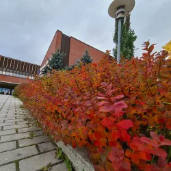 Östersund City Library - Ostersund (Östersund)