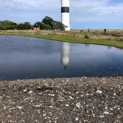 Bird Watching Areas - Otterstad