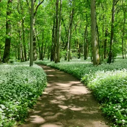 Kinnekulle Nature Reserve - Otterstad