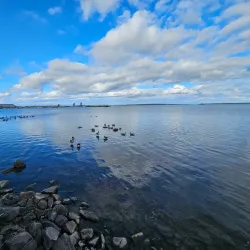 Lake Vänern - Otterstad