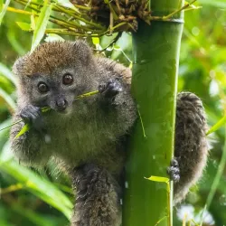 Photography Opportunities - Otterstad